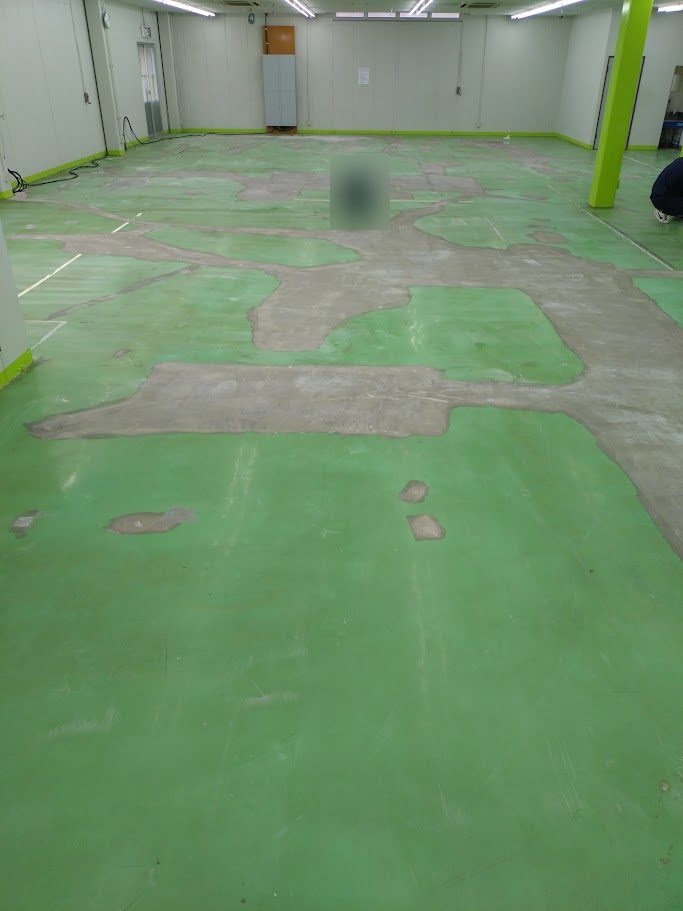 剥離作業を終えた工場フロアの全景